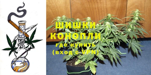 мдма Ельня