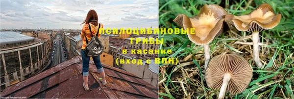 мдма Ельня