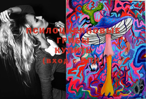 мдма Ельня