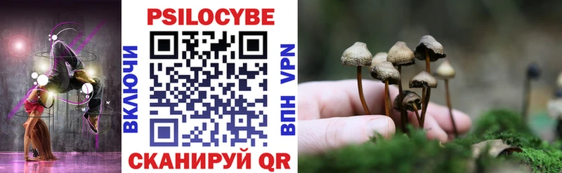 Псилоцибиновые грибы мицелий  Купить закладки  Новое Девяткино 